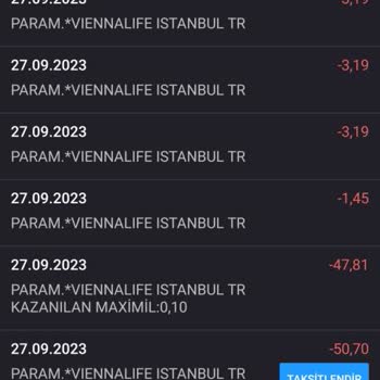 ViennaLife Emeklilik ve Hayat Kredi Kartından Fazla Çekim