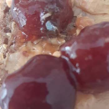 Migros Reçelden Çıkan Kurt