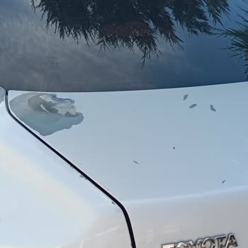 Toyota Corolla 2011 Model Beyaz Aracımda Boya Hatası