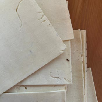 Migros Barilla Lazanya Makarna Kutusunun İçinden Böcekler Çıktı