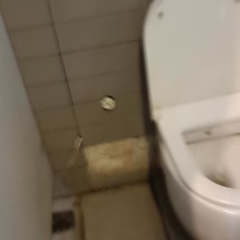 Shell Tuvaletleri Çok Kötü Bir Çare Bulun