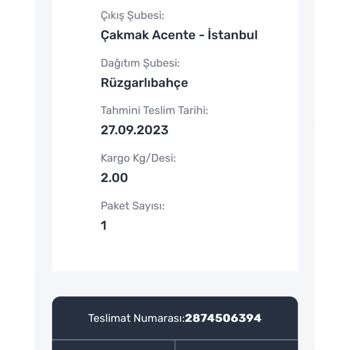 Sürat Kargo'nun Kargomu Kaybetmesi