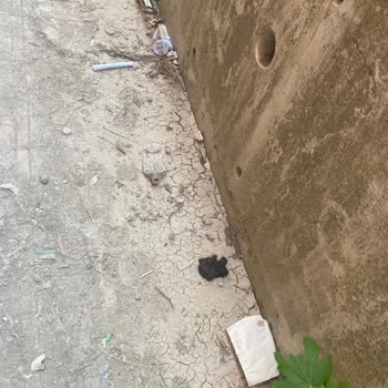 Yavuz Selim Ortaokulu (Karabağlar) Anaokulu Yol Sorunu
