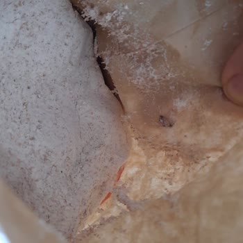15 Temmuz Mahallesi Nurolpark Migros Bemtat Organik Unları Böceklenmiş
