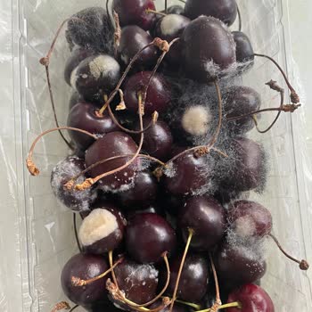 Arçelik Çözülmeyen Buzdolabı Tamir Süreci Sonucu Değişim Talebi