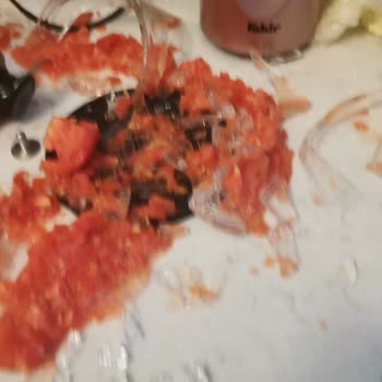 Fakir Trex Dual Cam Doğrayıcı - Camın Patlaması Ve Olumsuz Müşteri Hizmetleri