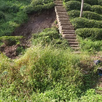 AFAD Arazide Heyelan Yol Kopması