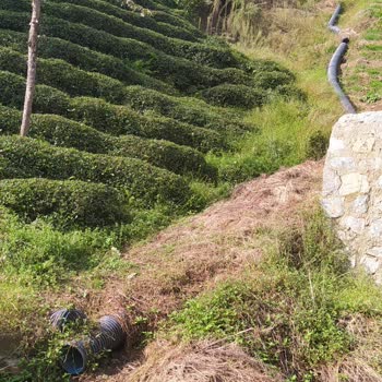 AFAD Arazide Heyelan Yol Kopması