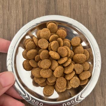 Trendyol Orijinal Sanıp Sahte Mama Gönderilmesi