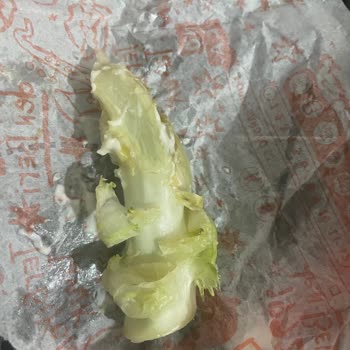 Popeyes Sandviç İçerisinden Çıkan Marul Sapı