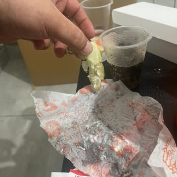 Popeyes Sandviç İçerisinden Çıkan Marul Sapı
