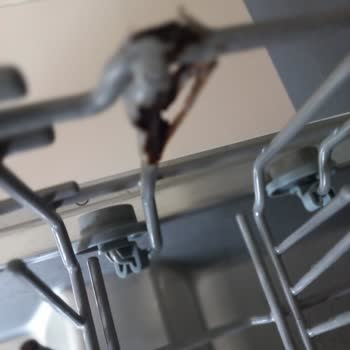 Teka 605 S Bulaşık Makinesi Paslandı.
