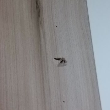 İstikbal Gardırop Rafım Kırıldı Ve Servis Tadilatını Yapmıyor!