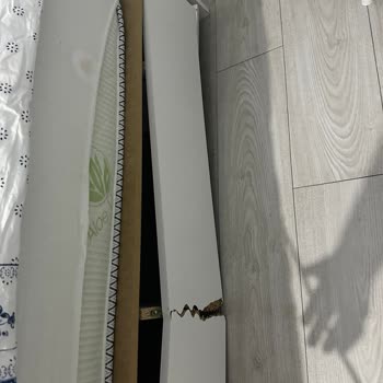 Vivense Ürünleri 2 Ayda Kırılması