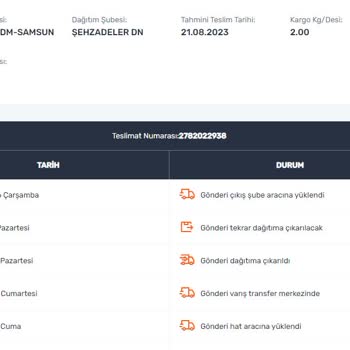 Sendeo Kargo Firması Kargomu Kayıp Etti, Ücret İadesi De Yapmadı.
