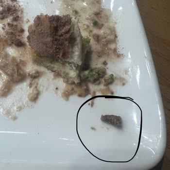 Migros Baklavanın İçinden Yabancı Cisim Çıktı
