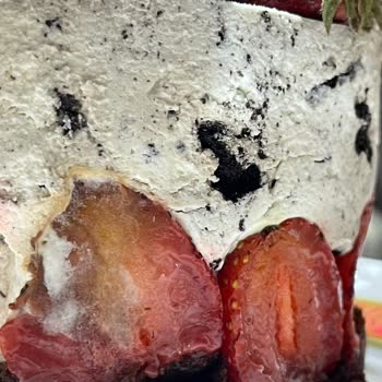 Bozuk Pasta Liva Pastaneleri