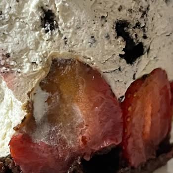 Bozuk Pasta Liva Pastaneleri