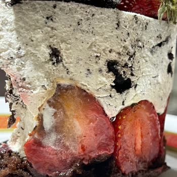 Bozuk Pasta Liva Pastaneleri