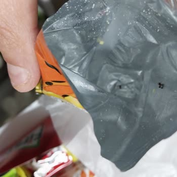 Cheetos Sut Mısırında Karınca İhmaline Karşı Şikayetim