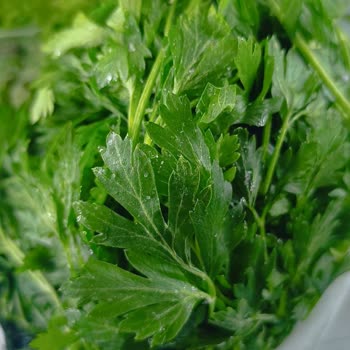 Hoover Devamlı Bozulan Buzdolabı Ve İlgisiz Servis