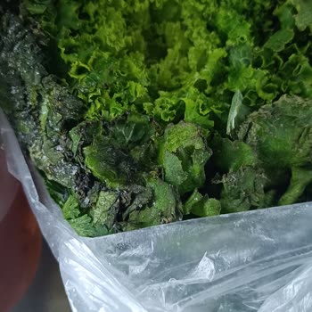 Hoover Devamlı Bozulan Buzdolabı Ve İlgisiz Servis