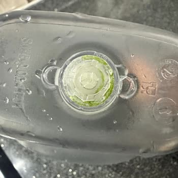 Brita Sürahi Yosun Problemi
