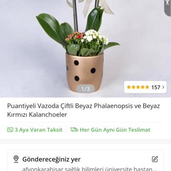 Çiçek Sepeti'nden Sipariş Problemi