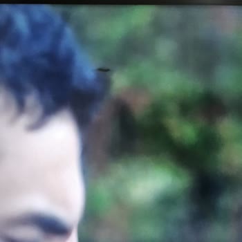 Philips TV Ekran Böcekli