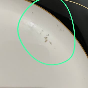 Karaca Züccaciye Pişmanlıktır, Ayıplı Ürün!