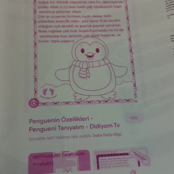 HP Yazıcı Çıktılar Hep Pembe Diğer Renkleri Yazmıyor.