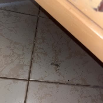 Club Selen Hotel Oteldeki Kötü Deneyim