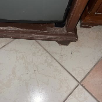 Club Selen Hotel Oteldeki Kötü Deneyim