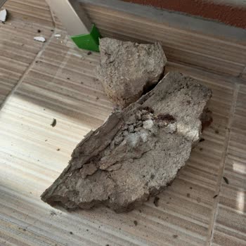 Acil Bina Hasar Tespiti İBB