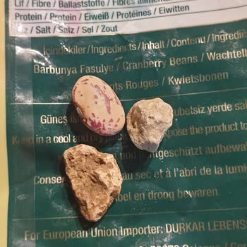 Duru Bulgur Duru Barbunyadan Çıkan Taşlar