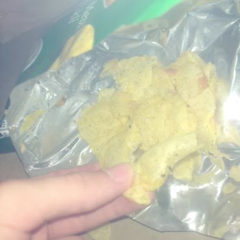 Lays Cipsten Bir Sürü Böcek Çıktı