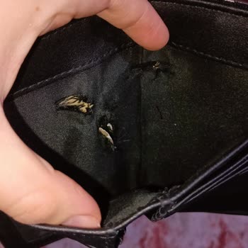 Stradivarius Cüzdanın Astarının İçinde Alarm Unutulması