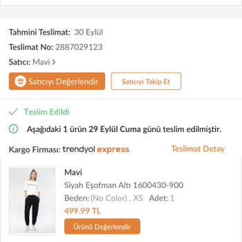 Mavi Delinmesi Ve Yırtıldı