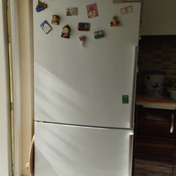 Bosch Buzdolabı Koku Var ve Yemekler Bozuyor