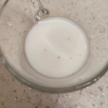 Harras Süt İçerisinden Çıkan Cisimler