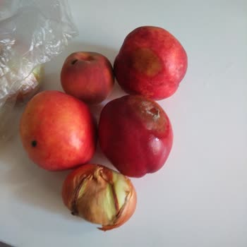 A101 Çürük Küflü Meyve Sebze