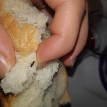 BİM Ekmekten Böcek Cıktı