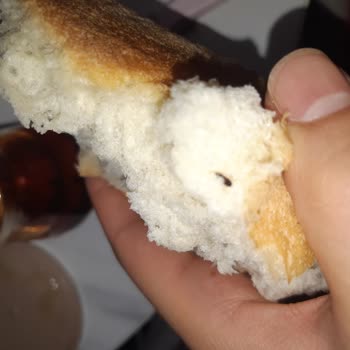 BİM Ekmekten Böcek Cıktı