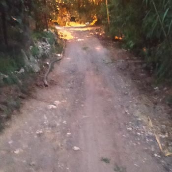 Erdemli Belediyesi Yol Yapım Çalışmaları