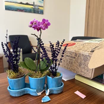 Çiçek Sepeti Hediyemi Kırık Gönderdi