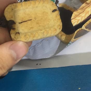 Eti Burçak Çikolatası Yok