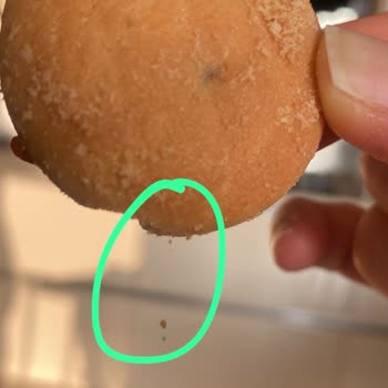 Ülker Biskrem Bisküviden Kurt Çıktı