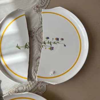 Saribulut.com Tabakların Kırık Gelmesi