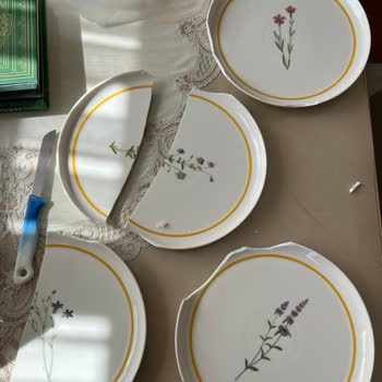 Saribulut.com Tabakların Kırık Gelmesi