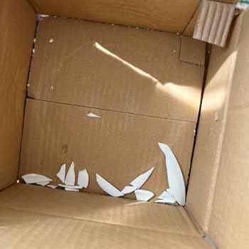 Saribulut.com Tabakların Kırık Gelmesi